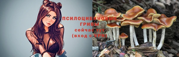 спиды Нязепетровск