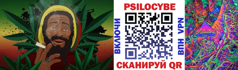 Галлюциногенные грибы мицелий Прокопьевск